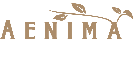 Aenima Boutique