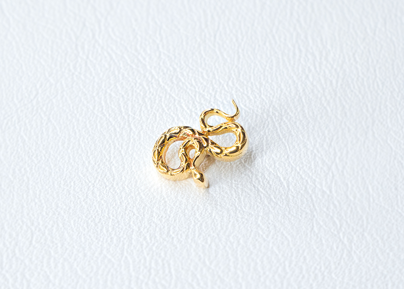 coiled-snake-yg